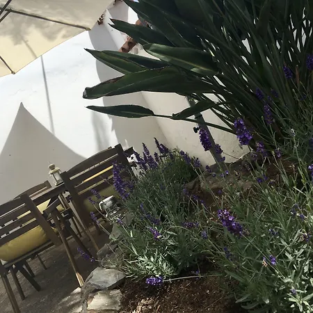 La Casita De Palmas Vv Pensjonat Las Palmas de Gran Canaria