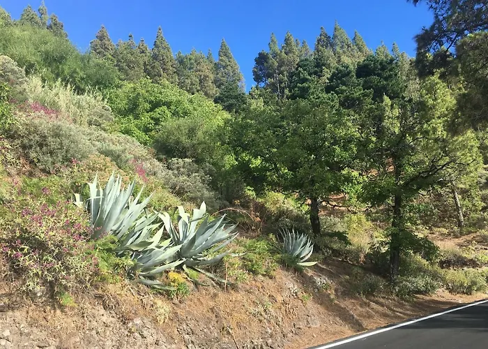 Gasthof La Casita De Palmas Vv 3*