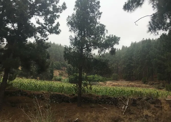 La Casita De Palmas Vv Gasthof